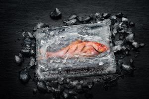 Fischzubereitung mit dem Miele Dialoggarer